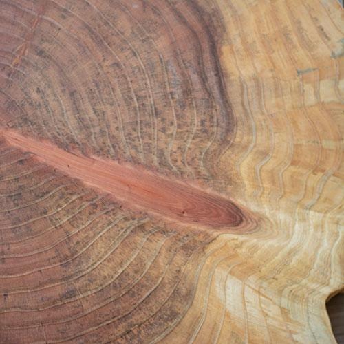 Holzstruktur Mammutbaum Holz